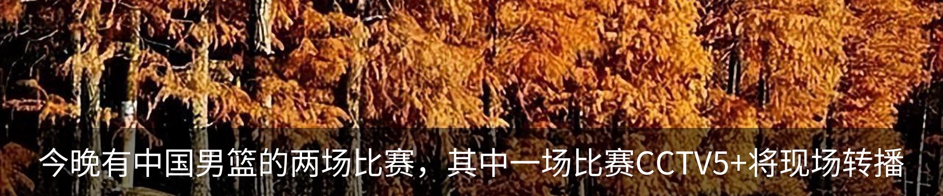 内页banner